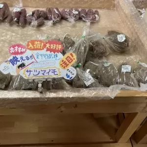 中学生製作の販売POP第二弾のサムネイル