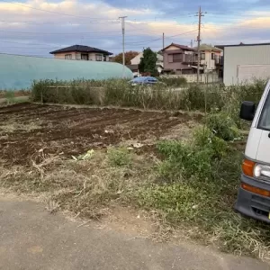 50坪農園のレイアウト変更しました☺️のサムネイル